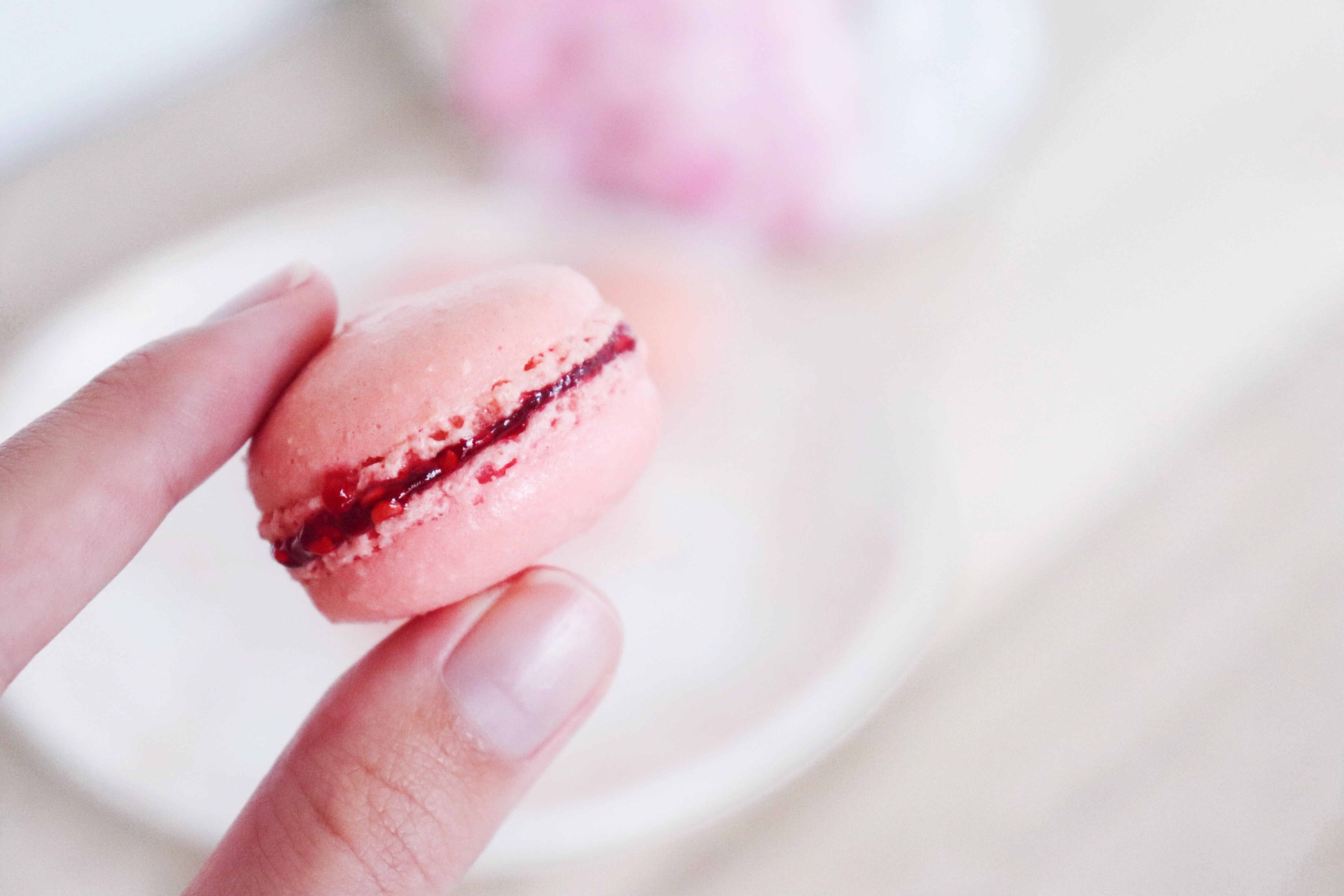 macarons framboise léa patisseries inspirées
